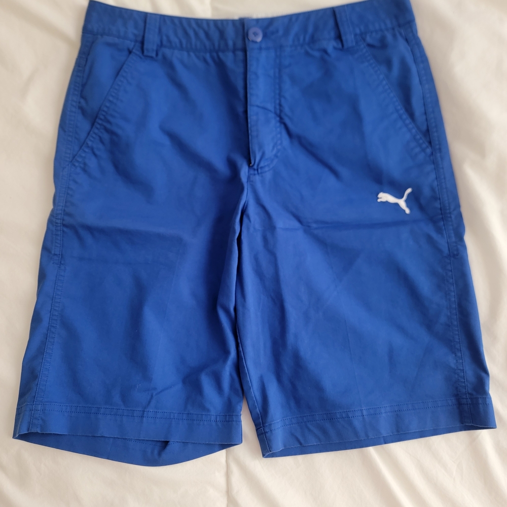 Puma Men's Vibrant Blue Athletic Shorts